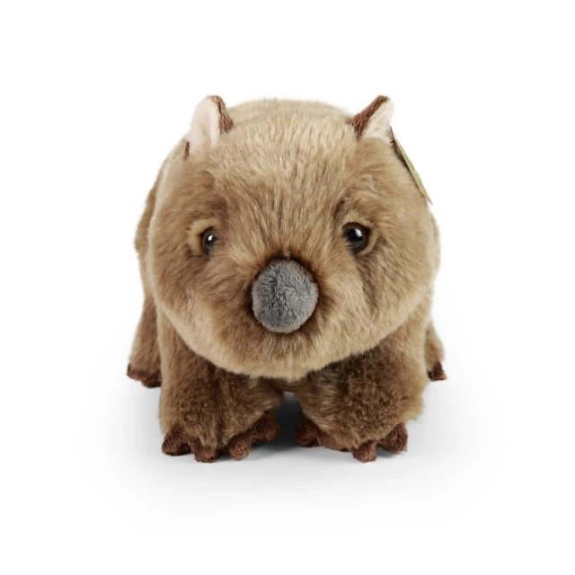 Plush Wombat 28 cm.