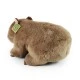Plush Wombat 28 cm.