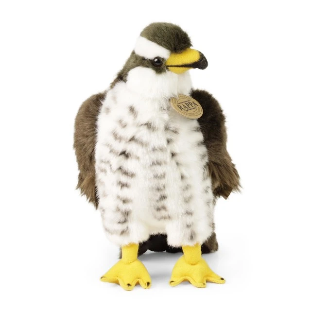Plush Hawk 23 cm.