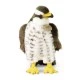 Plush Hawk 23 cm.