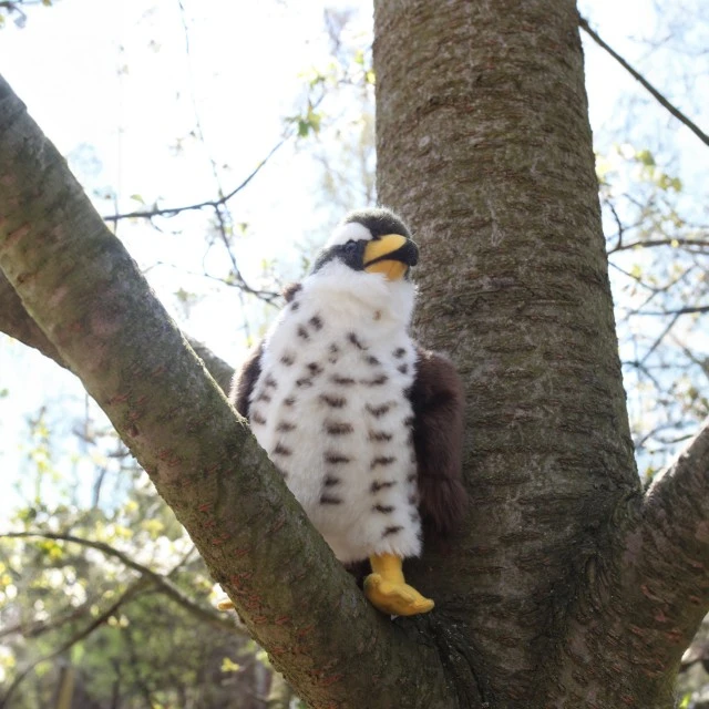 Plush Hawk 23 cm.