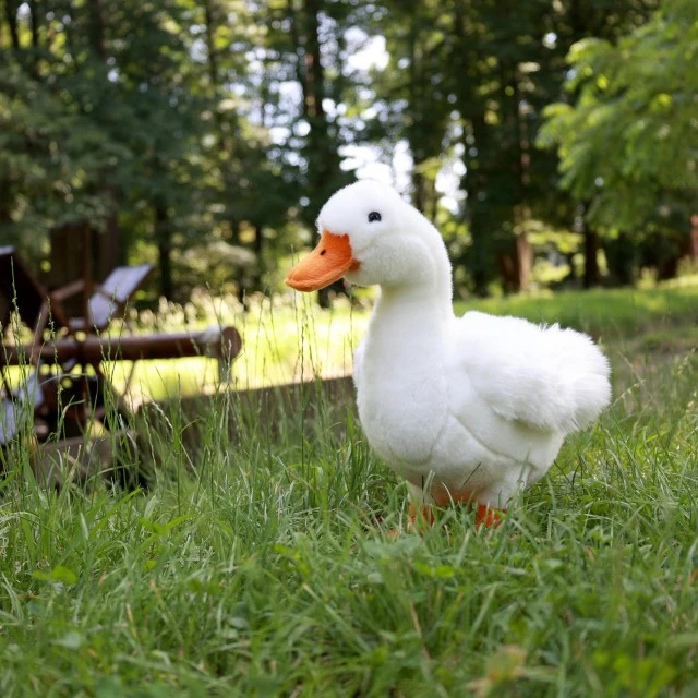 Plush white goose 33 cm. Eco friends series