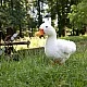 Plush white goose 33 cm. Eco friends series
