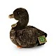 Plush Brown Duck 23 cm.