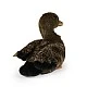 Plush Brown Duck 23 cm.