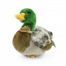 Plush Green-headed Duck 20 cm.