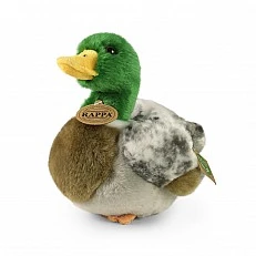 Plush Green-headed Duck 20 cm.