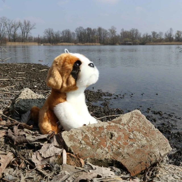 Plush dog St. Bernard 20 cm. sitting