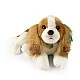 Plush Dog Cavalier King Charles Spaniel lying 40 cm.