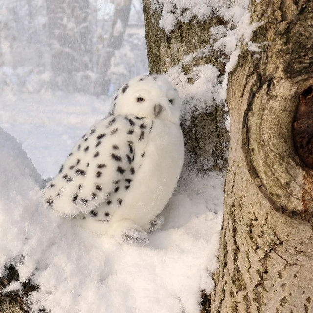 Plush White Owl with rotating head 28 cm.