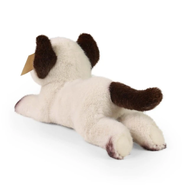 Plush Himalayan cat 26 cm.