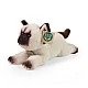 Plush Himalayan cat 26 cm.