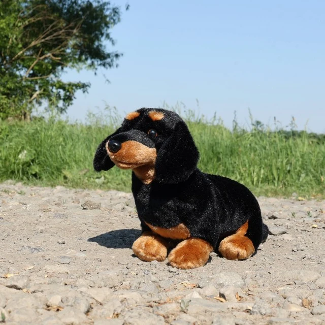 Plush Dachshund dog standing 30 cm.