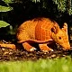 Plush Armadillo 28 cm. /without tail/ Eco Friends series