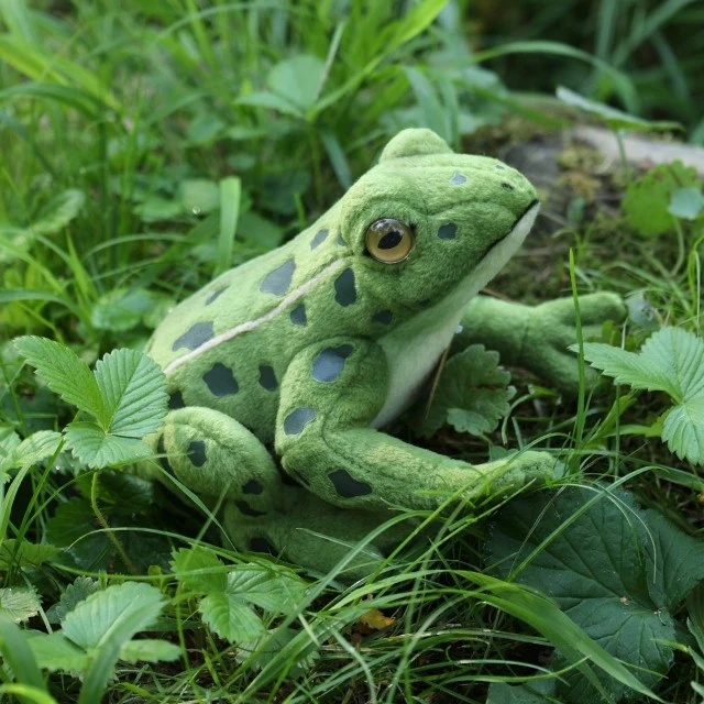 Plush toy Frog 19 cm.