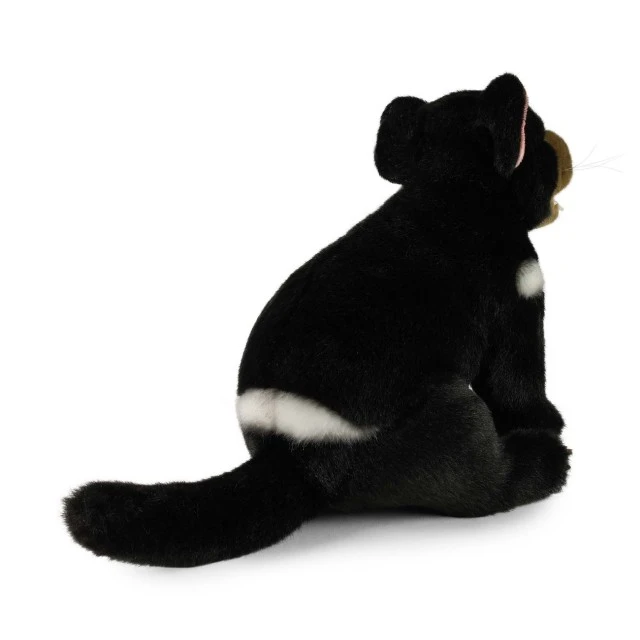 Plush Tasmanian Devil sitting 25 cm.