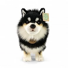 Plush Lapicoira Dog 33 cm. standing