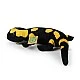 Plush Fire Salamander 31 cm.