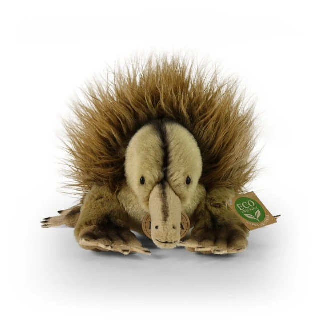 Plush toy Echidna 24 cm.