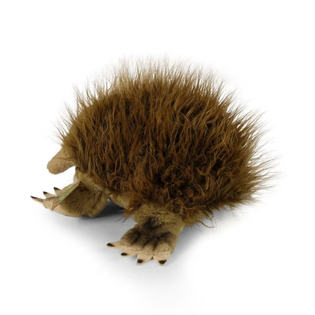 Plush toy Echidna 24 cm.