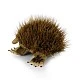 Plush toy Echidna 24 cm.