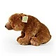 Teddy bear Grizzly 30 cm. sitting series Eco friends