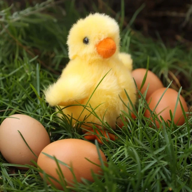Plush Yellow Newly Hatched Chick 10 cm. Eco Friends series