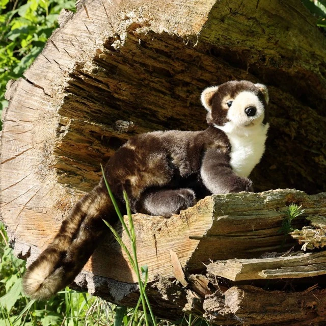 Plush Squirrel 39 cm. Eco Friends series