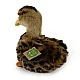 Plush Brown Duck 19 cm. Eco Friends series