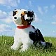 Plush Australian Shepherd with collar sitting 35 cm. Eco Friends series