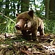 Plush Wild Boar Standing 30 cm. Eco Friends Series