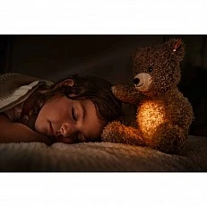 Caspar Teddy bear night lamp Size: 28 cm Class: Friends