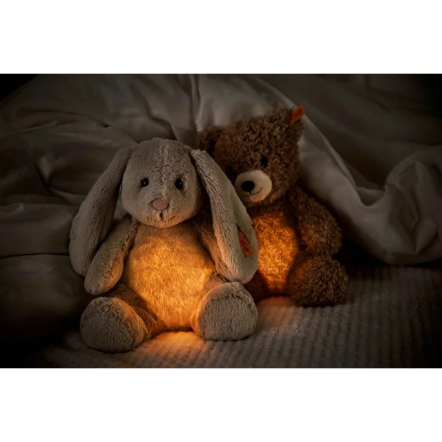 Caspar Teddy bear night lamp Size: 28 cm Class: Friends