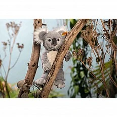 Nils Koala Size: 30 cm Class: Friends