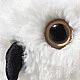 Hedwig owl Size: 21 cm Class: Friends