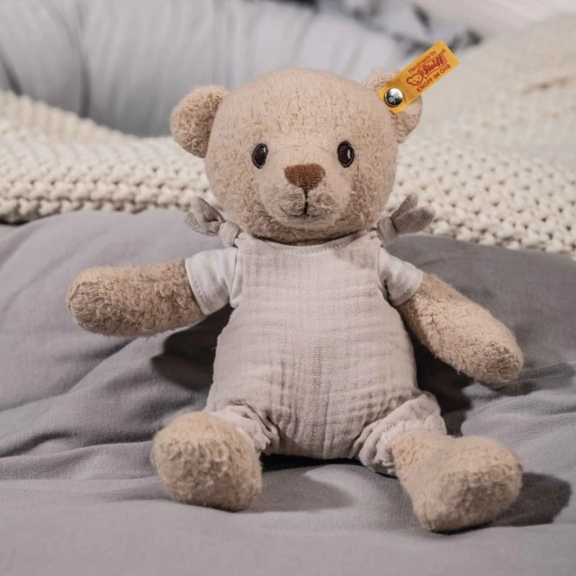 GOTS Noah Teddy bear Size: 26 cm Class: Friends