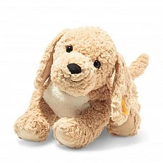 Berno Goldendoodle Size: 36 cm Class: Friends