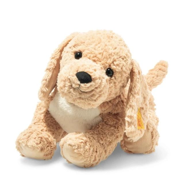 Berno Goldendoodle Size: 36 cm Class: Friends
