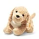 Berno Goldendoodle Size: 36 cm Class: Friends