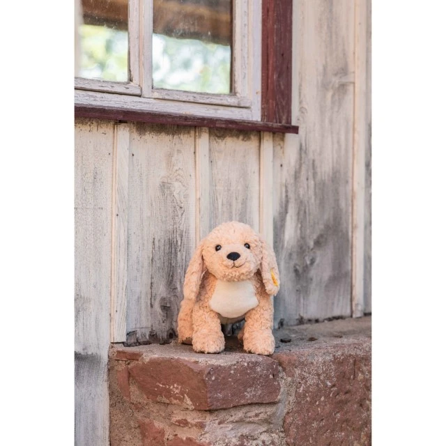 Berno Goldendoodle Size: 36 cm Class: Friends