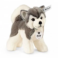 Bernie husky Size: 17 cm