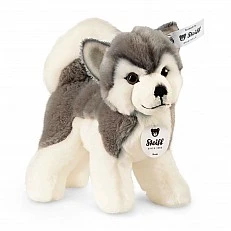 Bernie husky Size: 17 cm