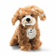 Curlie Cockapoo Size: 24 cm Class: Originals
