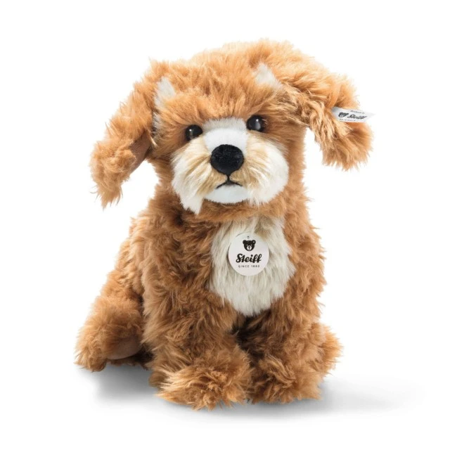 Curlie Cockapoo Size: 24 cm Class: Originals
