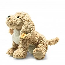 Berno Goldendoodle Size: 26 cm Class: Friends