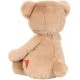 Teddy bear 30 cm - Brown