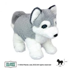 Plush toy, Husky Puppy 25cm. Wild Planet